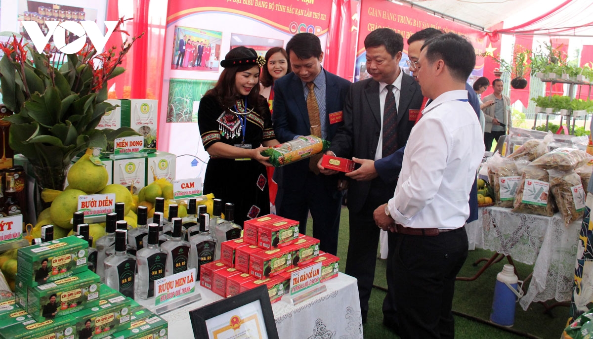 Sàn Thương Mại Điện Tử - Phát triển thị trường kinh doanh cho tỉnh Bắc Kạn