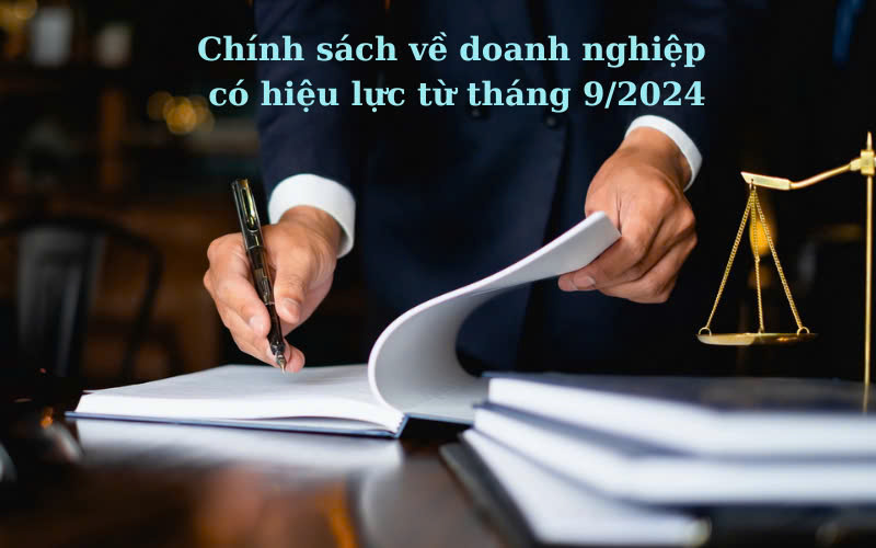 chính sách doanh nghiệp